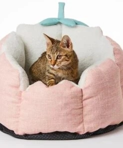PETKIT® Strawberry Mand – Hondenmand – Kattenmand – Roze -Hondenartikelen Serie Winkel 1002x1200