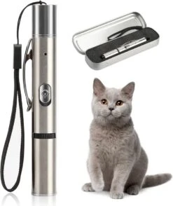 Merkloos Laserpen - USB Oplaadbaar - Kattenspeeltjes - Verschillende Standen - Zilver - Houder -Hondenartikelen Serie Winkel 1009x1200 2