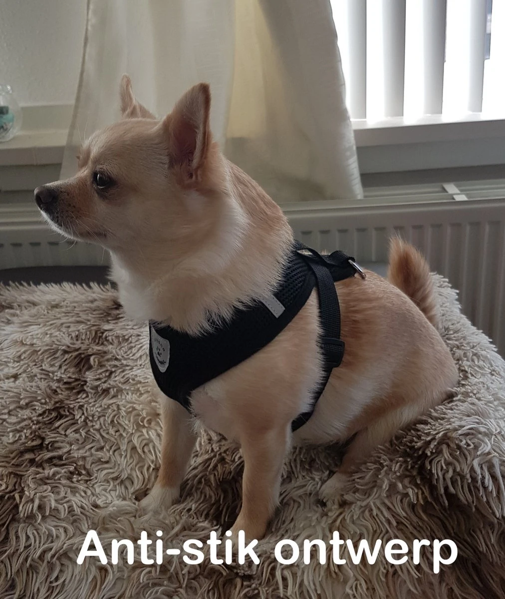 Luxyana® Hondentuigje - S - 28-32cm - Geschikt Voor Kleine Honden En Als Kattenharnas - Easy Step-in Hondentuigje Voor De Kleine Hond Of Kat - Inclusief Bijpassend Riempje - Zwart 7 Luxyana® Hondentuigje - S - 28-32cm - Geschikt Voor Kleine Honden En Als Kattenharnas - Easy Step-in Hondentuigje Voor De Kleine Hond Of Kat - Inclusief Bijpassend Riempje - Zwart - Afbeelding 5