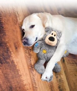 Kong Wild Knots Beer - Hondenspeelgoed - Assorti - M - 25 X 20 X 10 Cm -Hondenartikelen Serie Winkel 1017x1200 4