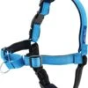 Petsafe Easy Walk® Deluxe Harness - Hondentuigje - Blauw - M - 1,8 M -Hondenartikelen Serie Winkel 1018x1200 4