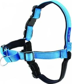 PetSafe Easy Walk® Deluxe Harness - Hondentuig - Blauw - L -1,8 M -Hondenartikelen Serie Winkel 1019x1200 6