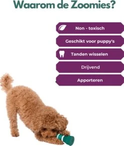 Furmey Zoomies - Honden Speelgoed - Hondenspeeltjes - Kauwbotten Hond - S Groen - 17 Cm 16 Furmey Zoomies - Honden Speelgoed - Hondenspeeltjes - Kauwbotten Hond - S Groen - 17 Cm -Hondenartikelen Serie Winkel 1022x1200 2