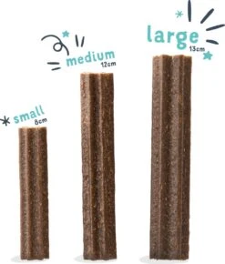 Edgard & Cooper Doggy Dental Sticks Appel - Eucalyptusolie Medium -Hondenartikelen Serie Winkel 1023x1200 1