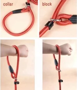 LOUZIR Cesar Millan Sliplijn Met Stop - Hondenriem - Rood - 130 Cm -Hondenartikelen Serie Winkel 1023x1200 7