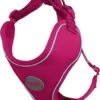 DDOXX Hondenharnas, Reflecterend, Verstelbaar, Breakaway | Borstharnas Voor Klein, Middelgroot | Hondenharnas Hond Kat Puppy Auto | Kattenharnas Puppy Harnas | Roze Roze, S -Hondenartikelen Serie Winkel 1032x1200 2