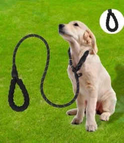 Nixnix - Honden Riem - 1,7cm - Zwart - 1,2cm Dik - Sliplijn - Nylon - Hondenriem - Verstelbaar - Jachtlijn Met Stop - Leiband -Hondenartikelen Serie Winkel 1042x1200 6