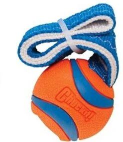 Chuckit! Chuckit Ultra Tug – Hondenspeelgoed - Blauw/Oranje – Large - ø 7 Cm -Hondenartikelen Serie Winkel 1042x1200 7