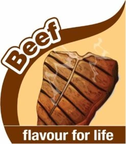 Nylabone Flexi Voor Honden Puppy Teething X Bone Beef Tot 11 Kg -Hondenartikelen Serie Winkel 1048x1200 2