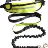 Hondenriem Hardloopriem Elastische Reflecterende Geschikt Voor Hardlopen - Handsfree Riem Met Opbergtasje – Hond Looplijn - Schokabsorberend - Groen -Hondenartikelen Serie Winkel 1052x1200