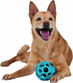 JW HOL-EE ROLLER – Hondenbal Rubber – 15 Cm - Large - 1 Stuk 12 JW HOL-EE ROLLER – Hondenbal Rubber – 15 Cm - Large - 1 Stuk -Hondenartikelen Serie Winkel 1053x1200 6