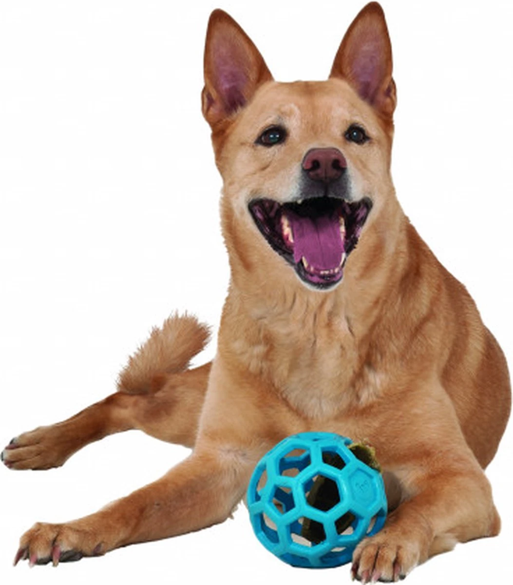 JW HOL-EE ROLLER – Hondenbal Rubber – 15 Cm - Large - 1 Stuk 6 JW HOL-EE ROLLER – Hondenbal Rubber – 15 Cm - Large - 1 Stuk - Afbeelding 4