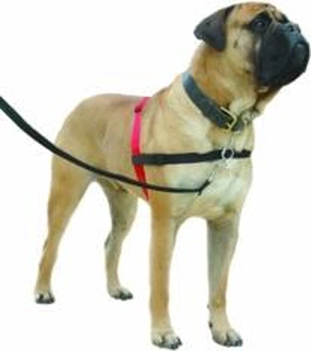 Company Of Animals Halti Harnass - Anti Trektuigje - Hond - Large - Borstomvang Boven De 80 Cm – Zwart 10 Company Of Animals Halti Harnass - Anti Trektuigje - Hond - Large - Borstomvang Boven De 80 Cm – Zwart - Afbeelding 9