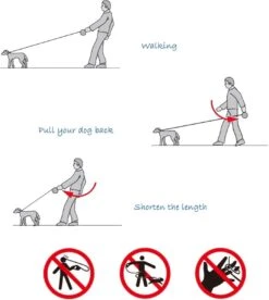 IGOODS - Uitlaatriem - Honden Riem - Katten Riem - Uitlaatriem Voor Dieren Rollijn - Hondenriem - 5 Meter Lang - Grijs 19 IGOODS - Uitlaatriem - Honden Riem - Katten Riem - Uitlaatriem Voor Dieren Rollijn - Hondenriem - 5 Meter Lang - Grijs -Hondenartikelen Serie Winkel 1072x1200 2