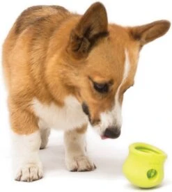 West Paw Toppl Zogoflex - Uitdagend En Sterk Speelgoed Voor Honden - Slowfeeder - Vulbaar Met Voer Of Snacks - Kleur: Groen, Maat: Large 37 West Paw Toppl Zogoflex - Uitdagend En Sterk Speelgoed Voor Honden - Slowfeeder - Vulbaar Met Voer Of Snacks - Kleur: Groen, Maat: Large -Hondenartikelen Serie Winkel 1074x1200 4