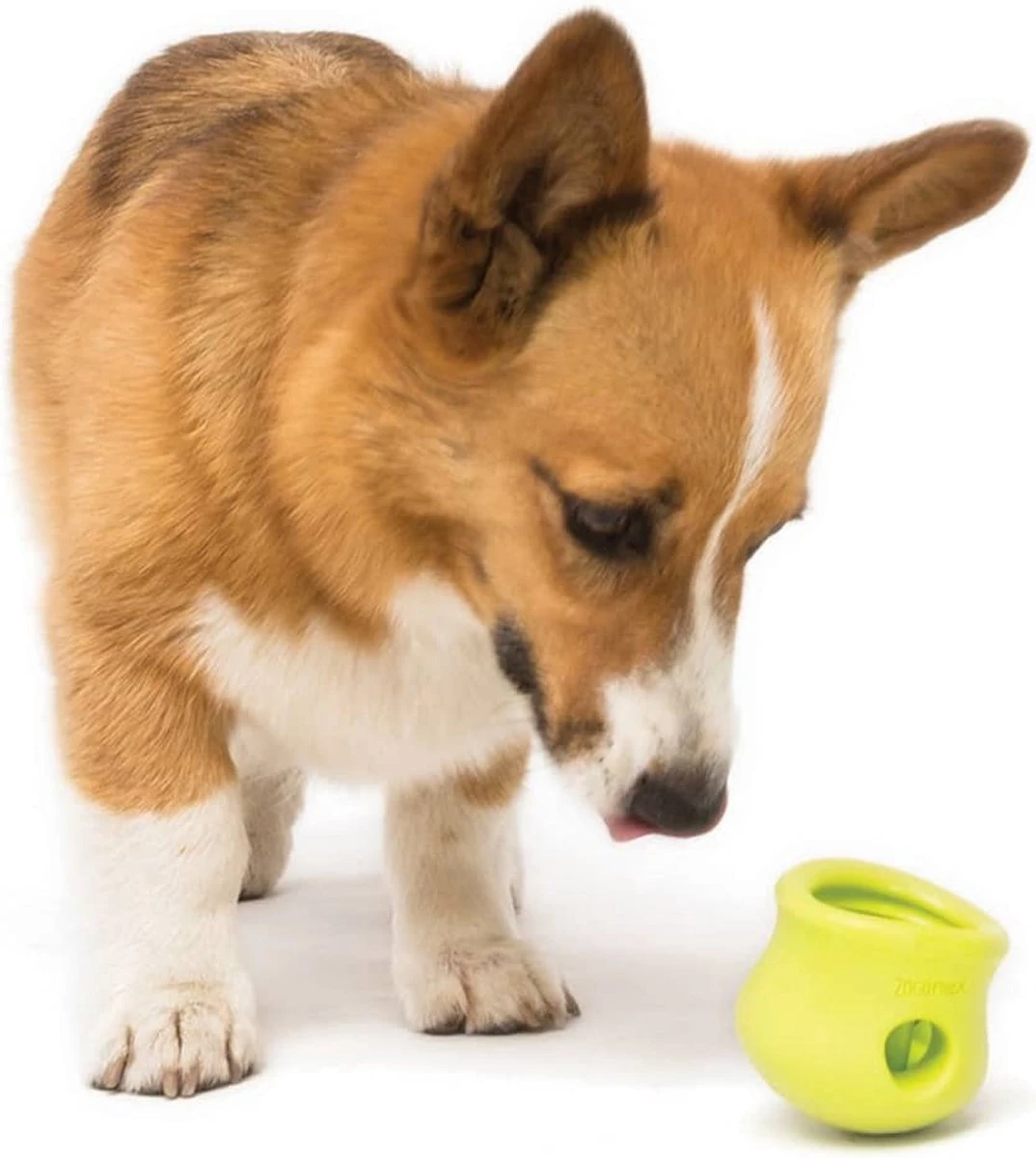 West Paw Toppl Zogoflex - Uitdagend En Sterk Speelgoed Voor Honden - Slowfeeder - Vulbaar Met Voer Of Snacks - Kleur: Groen, Maat: Large 19 West Paw Toppl Zogoflex - Uitdagend En Sterk Speelgoed Voor Honden - Slowfeeder - Vulbaar Met Voer Of Snacks - Kleur: Groen, Maat: Large - Afbeelding 17