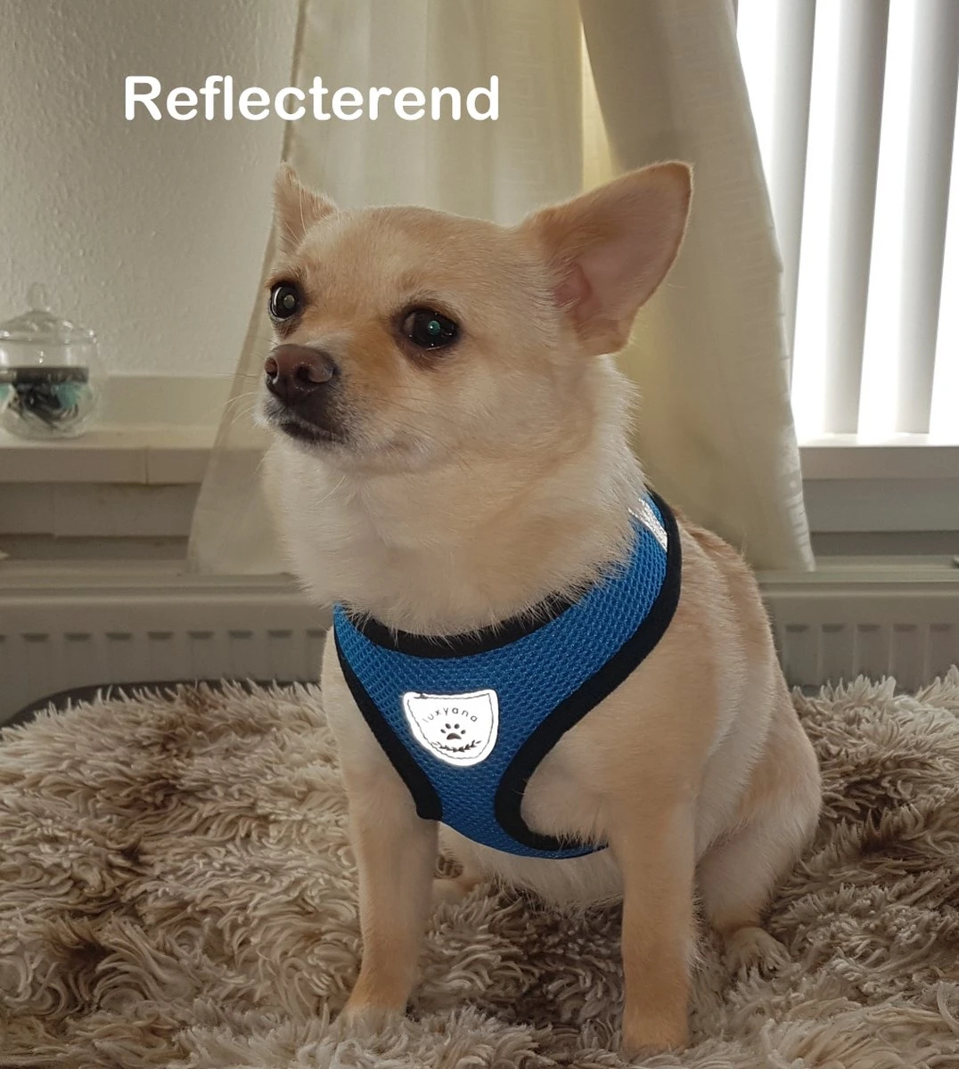 Luxyana® Hondentuigje - S - 28-32cm - Geschikt Voor Kleine Honden En Als Kattenharnas - Easy Step-in Hondentuigje Voor De Kleine Hond Of Kat - Inclusief Bijpassend Riempje - Zwart 8 Luxyana® Hondentuigje - S - 28-32cm - Geschikt Voor Kleine Honden En Als Kattenharnas - Easy Step-in Hondentuigje Voor De Kleine Hond Of Kat - Inclusief Bijpassend Riempje - Zwart - Afbeelding 6