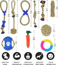 Nobleza Honden Speelgoed Set PLJ - 10 Stuks -Hondenartikelen Serie Winkel 1076x1200 6