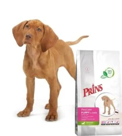 Prins Procare Daily Care Graanvrij - Hondenvoer - 7,5 Kg -Hondenartikelen Serie Winkel 1078x1200