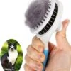 Kattenborstel/Hondenborstel Haarverwijderaar Voor Huisdieren -Hondenartikelen Serie Winkel 1090x1200 3