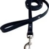 Hondenriem - 220cm – Zwarte Riem - Leren Hondenriem Met Stiksels – 100% Volnerfleer - Hond - Leer - Leder -Hondenartikelen Serie Winkel 1091x1200 3