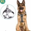 Mmoods Hondentuigje Grijs - Anti-Trek Tuig - Hondenharnas Voor Extra Grote Honden - Reflecterende Halsband Hond - Hondenhalsband Maat XL 2 Mmoods Hondentuigje Grijs - Anti-Trek Tuig - Hondenharnas Voor Extra Grote Honden - Reflecterende Halsband Hond - Hondenhalsband Maat XL -Hondenartikelen Serie Winkel 1101x1200 6