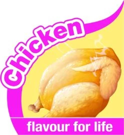 Nylabone Big Chew Kauwbot - Kipsmaak - Hond Zwaarder Dan 23 Kg -Hondenartikelen Serie Winkel 1102x1200 10