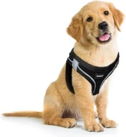 Topmast Airmesh Hondentuig - Click & Go - Turquoise - 3XS - Reflecterend - Harnas Hond - Hondentuigje - Hondenharnas - Voor Puppy, Kleine, Medium En Grote Hond -Hondenartikelen Serie Winkel 1104x1200 3