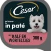 Cesar Primeur Paté Honden Natvoer - Kalf & Worteltjes - 10 X 300 Gr -Hondenartikelen Serie Winkel 1107x1200