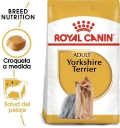 Royal Canin Yorkshire Terrier Adult - Hondenvoer - 3 Kg -Hondenartikelen Serie Winkel 1125x1200