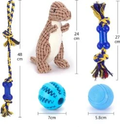 Nobleza Honden Speelgoed Set PLK - 5 Stuks 11 Nobleza Honden Speelgoed Set PLK - 5 Stuks -Hondenartikelen Serie Winkel 1132x1200 9