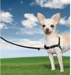 PetSafe Easy Walk® - Hondentuigje - Zwart - M - 51-71 Cm 29 PetSafe Easy Walk® - Hondentuigje - Zwart - M - 51-71 Cm -Hondenartikelen Serie Winkel 1138x1200 6