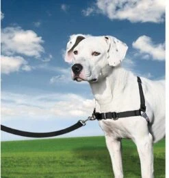 PetSafe Easy Walk® Deluxe Harness - Hondentuig - Blauw - L -1,8 M -Hondenartikelen Serie Winkel 1145x1200 6