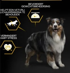 Pro Plan All Sizes Adult Light/Sterilised - Honden Droogvoer - Kip- 3 Kg -Hondenartikelen Serie Winkel 1146x1200 1