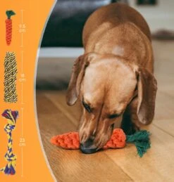 Nobleza Honden Speelgoed Set PLJ - 10 Stuks -Hondenartikelen Serie Winkel 1146x1200 12