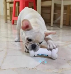 Cheerble Wickedbone|Automatisch Hondenspeeltje|Interactief En Intelligent Speelgoed Voor Honden|App & Bluetooth Bestuurbaar|USB Oplaadbaar -Hondenartikelen Serie Winkel 1147x1200 9