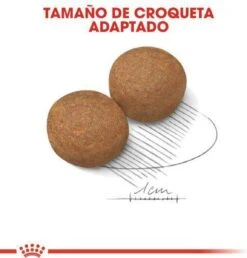 Royal Canin Maxi Adult 5+ Jaar Oud - Hondenvoer - 15 Kg -Hondenartikelen Serie Winkel 1149x1200 1