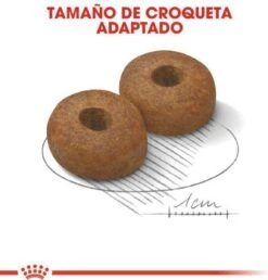 Royal Canin Maxi Ageing 8+ 15 KG 27 Royal Canin Maxi Ageing 8+ 15 KG -Hondenartikelen Serie Winkel 1149x1200 4