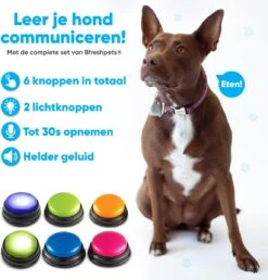 BFreshPets Praatknop Voor Honden - 6 Stuks - Dogbuttons - Hondenspeelgoed - Honden Training - Laat Uw Huisdier Spreken -Hondenartikelen Serie Winkel 1151x1200 11