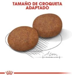 Royal Canin Medium Adult 7+ 15 KG 27 Royal Canin Medium Adult 7+ 15 KG -Hondenartikelen Serie Winkel 1154x1200 1