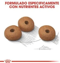 Royal Canin Mini Light 8 KG -Hondenartikelen Serie Winkel 1158x1200 1