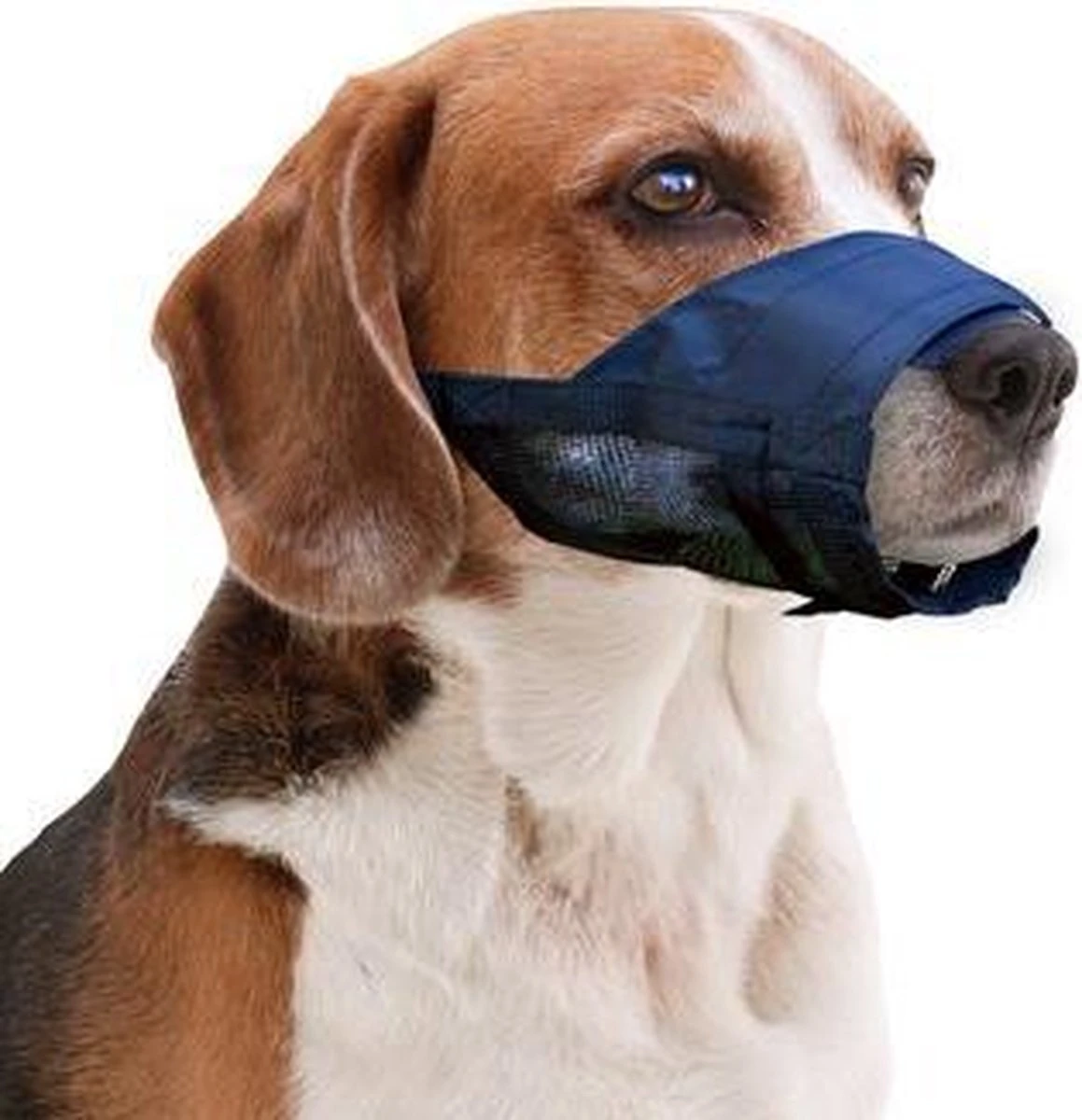 Pawise Muilkorf Adjustable - L - Size 3 Pawise Muilkorf Adjustable - L - Size