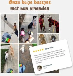 Dubbele Honden Riem – Leiband Hond – Hondenlijn – Looplijn Hond – 2 Honden – 3 Meter – Tot 12kg Per Hond – Reflecterende Lijnen – Met Zaklamp – 360° Draaien – Verstelbaar - Zwart -Hondenartikelen Serie Winkel 1160x1200 13