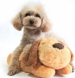 Merkloos Knuffel Met Hartslag Speciaal Voor Puppy's - Snuggle Heart Beat Puppy - Hartslagknuffel - Pluche -Hondenartikelen Serie Winkel 1160x1200 16