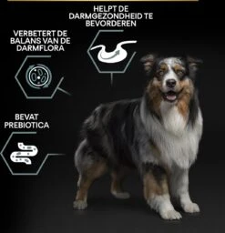 Pro Plan Graanvrij Medium & Large Adult Sensitive Digestion - Honden Droogvoer- Kalkoen - 12 Kg 25 Pro Plan Graanvrij Medium & Large Adult Sensitive Digestion - Honden Droogvoer- Kalkoen - 12 Kg -Hondenartikelen Serie Winkel 1160x1200