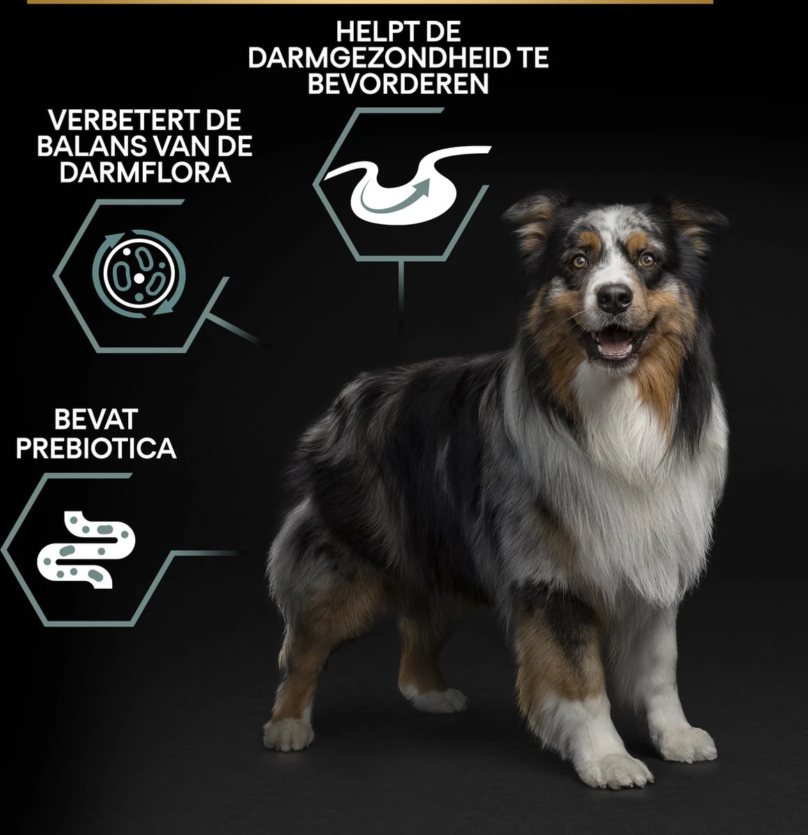 Pro Plan Graanvrij Medium & Large Adult Sensitive Digestion - Honden Droogvoer- Kalkoen - 12 Kg 6 Pro Plan Graanvrij Medium & Large Adult Sensitive Digestion - Honden Droogvoer- Kalkoen - 12 Kg - Afbeelding 4
