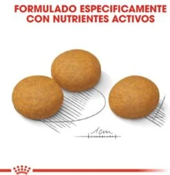 Royal Canin Dermacomfort Maxi - Hondenvoer - 12 Kg -Hondenartikelen Serie Winkel 1161x1200 1