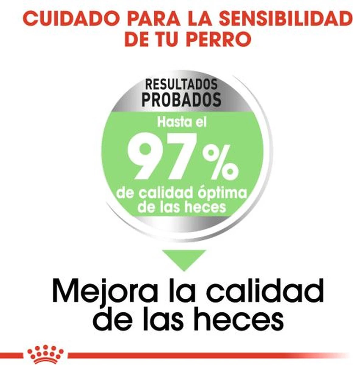 Royal Canin Digestive Care Maxi - Hondenvoer - 12 Kg 10 Royal Canin Digestive Care Maxi - Hondenvoer - 12 Kg - Afbeelding 8