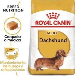 Royal Canin Dachshund/Teckel Adult 7.5 KG 21 Royal Canin Dachshund/Teckel Adult 7.5 KG -Hondenartikelen Serie Winkel 1162x1200