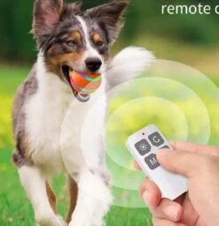 Merkloos Slimme Interactieve Zelf Rollende Bal Voor Honden - 3 Speelmodi - Honden Speelgoed - Hondenspeeltjes - USB Oplaadbaar - Met Afstandsbediening - Intelligente Automatische Roterende Waterproof Led Bal Met Afstandsbediening - Oranje -Hondenartikelen Serie Winkel 1164x1200 6